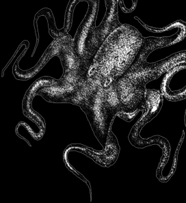 920362_7325332_lz.png
