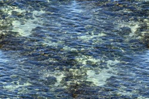 rocky_water_500.jpg