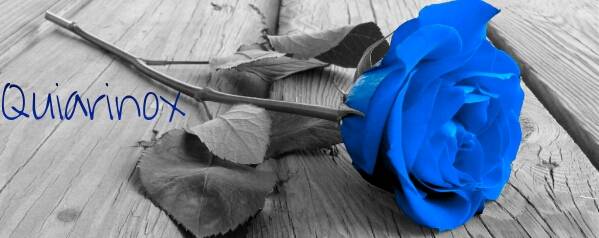 PicsArt_1357422849465886211872.jpg