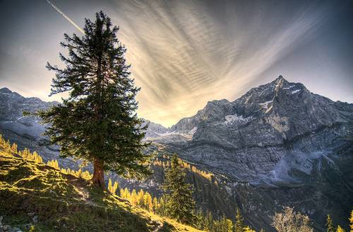 rsz_alpine_view_by_mutrus.jpg