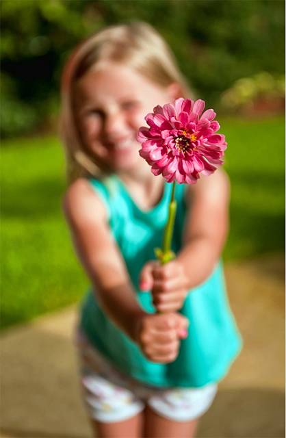 flower.jpg