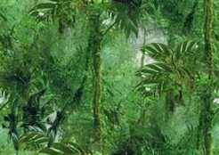 cartoon forest.jpg