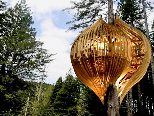treehouse546forhousingsticky.jpg