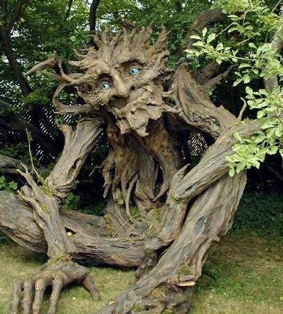 a_baa-a-unique-tree.jpg