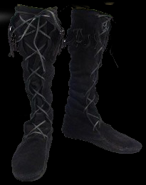 shoes.png