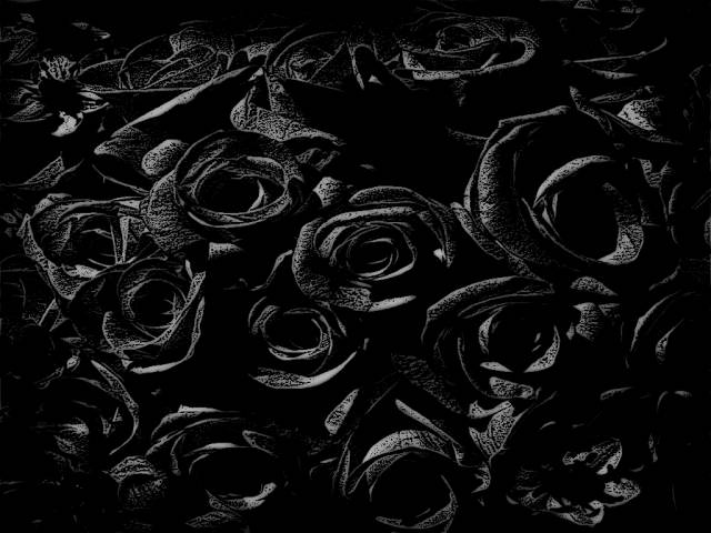 76532_1318599280909_full.jpg