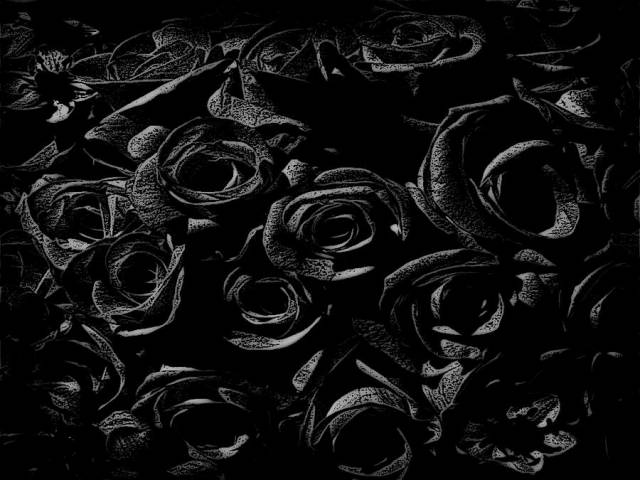 black-rose-liana-spinner.jpg