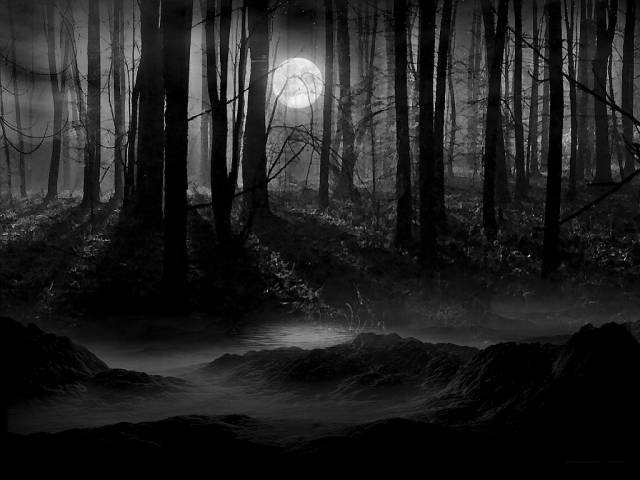 Lonelyforest.jpg