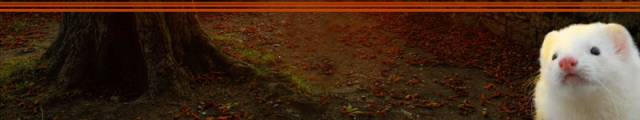 Posting banner #1(bot).jpg