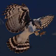 Harpy attack edit.jpg