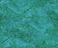 cyan.png