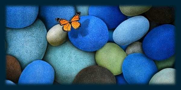 butterflytop.png