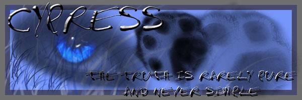 Cypressbanner.jpg