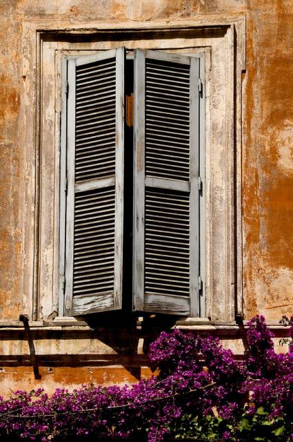 shuters-venice.jpg