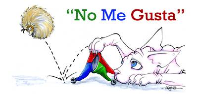 banner2.jpg
