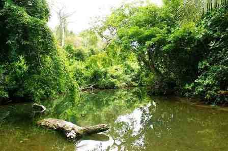 Falyndar River.jpg