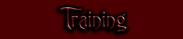 SturlinTraining.jpg