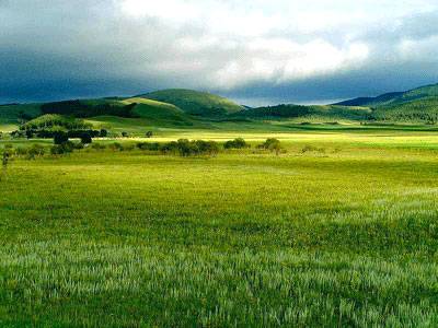 grassland.jpg
