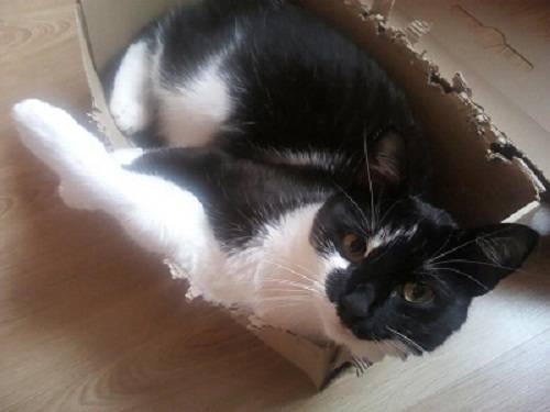 BoxOfShame.jpg