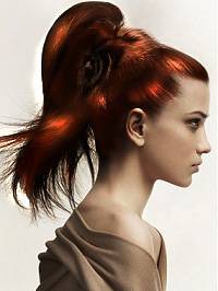 ponytail_by_trevor_sorbie.jpg