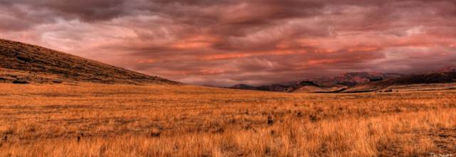 grasslands_at_sunset_by_DigiPainteR.jpg