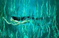 Siren5.jpg