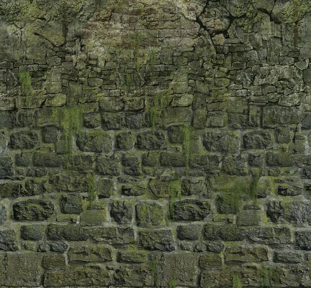 fantasy_wall_texture-200409-SM copy.jpg