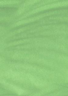 background4.jpg