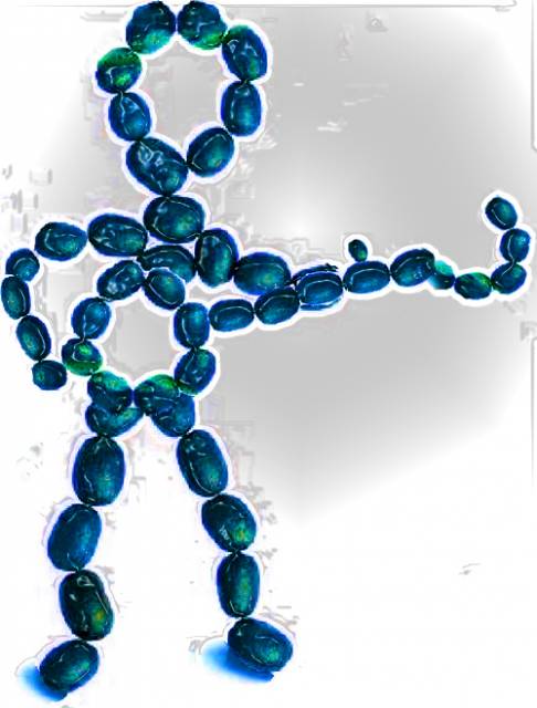 beanart.jpg