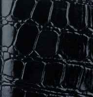 background__image_scale.png