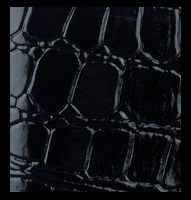 background__image_scale_2.png