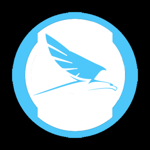 Swift Falcons.png