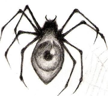 spider_eye_by_ladyiceblink.jpg