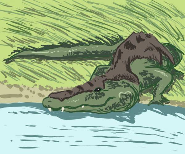 Granidile.jpg