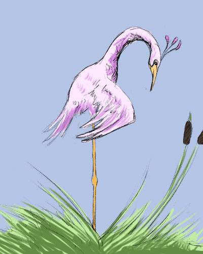 Pygull.jpg