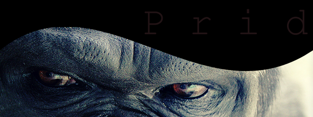 pridtopimg1.png