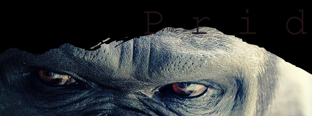pridtopimg2.png