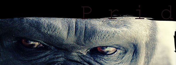 pridtopimg3.png