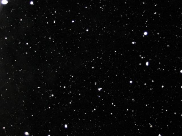 Dark_Snow_by_Reverendjizz.jpg