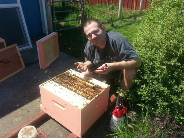 gillarlovesbees.jpg