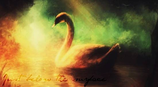 swan-just below the surface.jpg