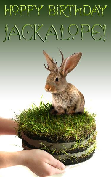 Hoppy Jackalope.jpg