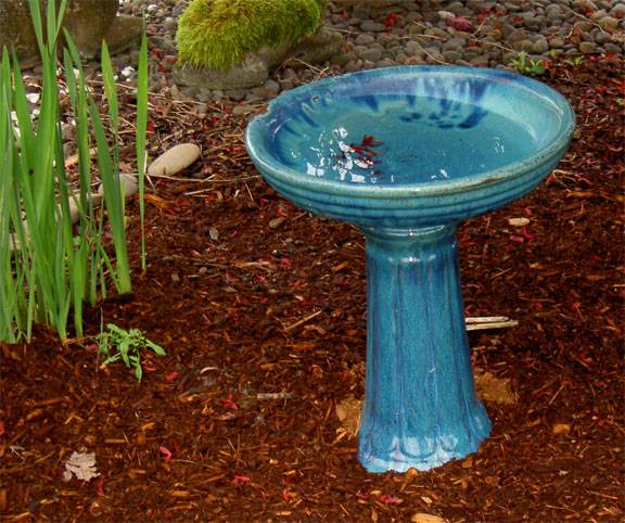 garden5.jpg