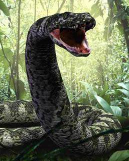 snake form.jpg
