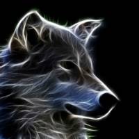 3D-Animal-Wallpaper.jpg