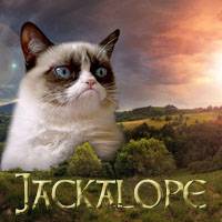 Mad Kitty 1.jpg