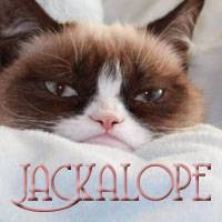 Mad Kitty 4.jpg