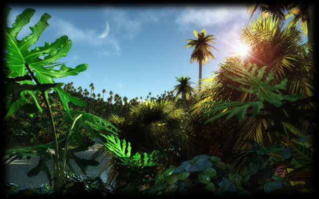 jungle.png