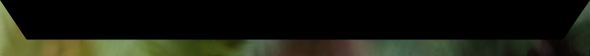 Mihiya footer.png