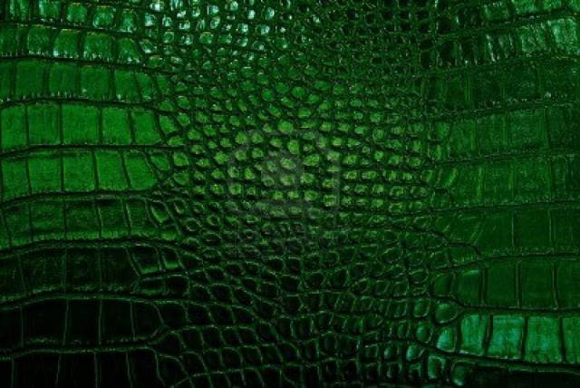 14451419-green-leather-texture-black-background-crocodil-e-leather.jpg